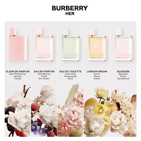 burberry rosa parfum|Burberry her best price.